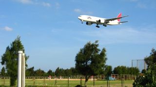 飛行機が驚くほど近い！