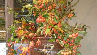 店内から渡月橋が眺められる、お蕎麦の老舗。