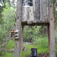 樹の上にあるSusanneの作業小屋