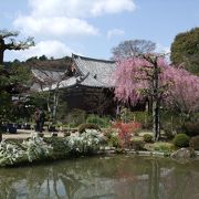 平安時代の浄土式庭園が残っています