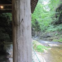 写真ではきれいに頑張って撮ったのですが