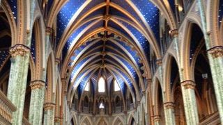 疲れたらここで一休みして心を落ち着けてみては？