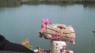 大池からの景観がナイス！