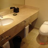 洗面台は充分な広さでした。