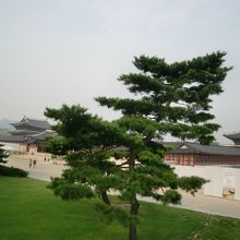 博物館前から眺めた景福宮。なんとなく京都っぽくも見えます