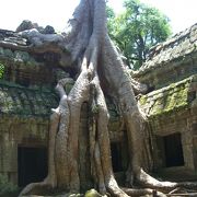 カンボジアの代表的遺跡