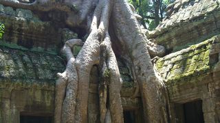 カンボジアの代表的遺跡