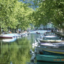 絵になります。