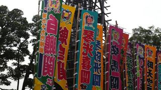 大相撲を体感できる場所