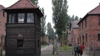 ツアー利用が便利