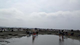 いっぱい採れます！！