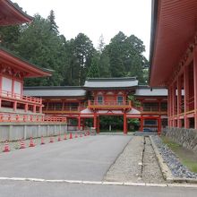 平日は静かに拝観できます。