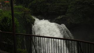 大きな音にびっくり