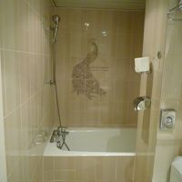 バスルームは清潔。シャワーカーテンなし。お湯の温度も問題なし