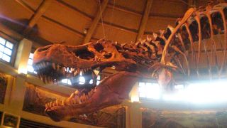 ＵＳＪ・・・楽しめます