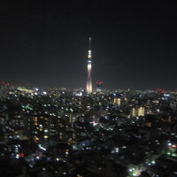 スカイツリーが見える！