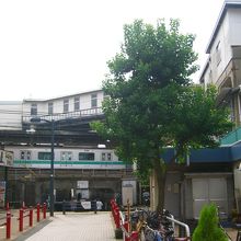 西側に向かう道