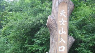 頂上付近まで車で！