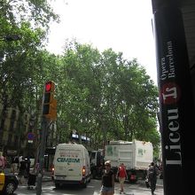 リセウ劇場前、ランブルラス通りに並走する道。車多かったです。