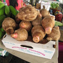 地元で採れたタロイモ