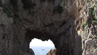 高知県の天然記念物