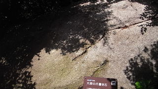 とりあえず歩いてみよう