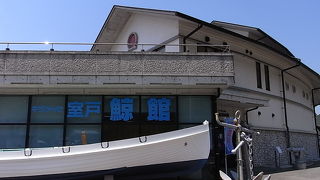 くじらの生態を知ろう