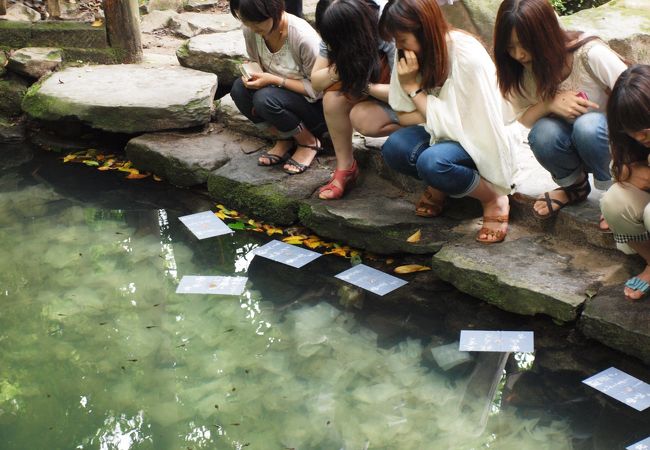 八重垣神社