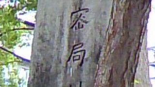 木々が茂っている場所に