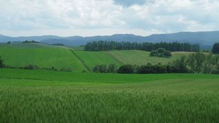 ひろびろ、雄大～