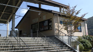 湖も楽しめます