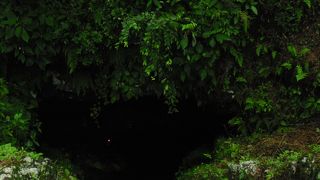 暗闇の中でろうそくの灯が光る