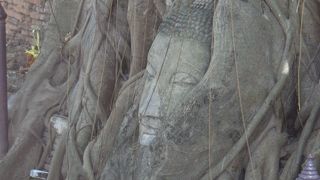 アユタヤといったらここ！