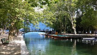 木漏れ日と緑がまさに絵画のよう！