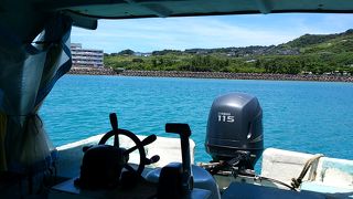 従業員が可愛いグラスボート