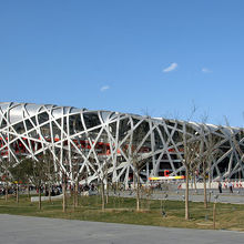 昼間の鳥の巣も。