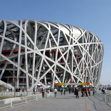 昼間のホネホネも。