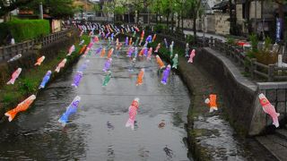巴波川（うずまがわ）の綱手道 （つなてみち）