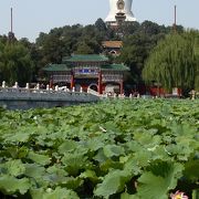 北京の大きな公園のウチで一番好きです♪