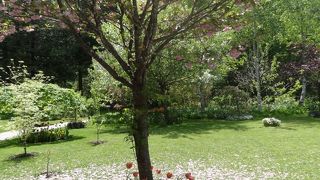 クレマチスの咲き誇る庭園