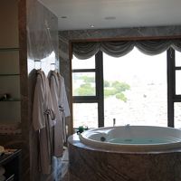 バスルームだけで５０平米はある