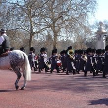 ３月末でしたので珍しい衛兵の冬服姿です。