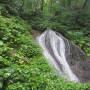 雨のせいで玉簾が流れに。