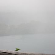 雨と霧につつまれた十和田湖