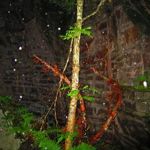 組み合わさった岩盤