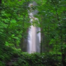 木々に囲まれた白布の滝