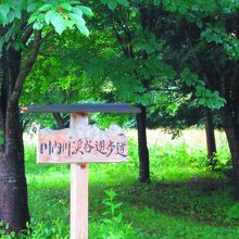 緑に包まれた遊歩道入り口