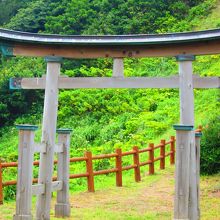 この鳥居から願掛け岩へ