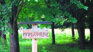 滝と橋と清流と緑