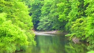 澄んだ小川のせせらぎ